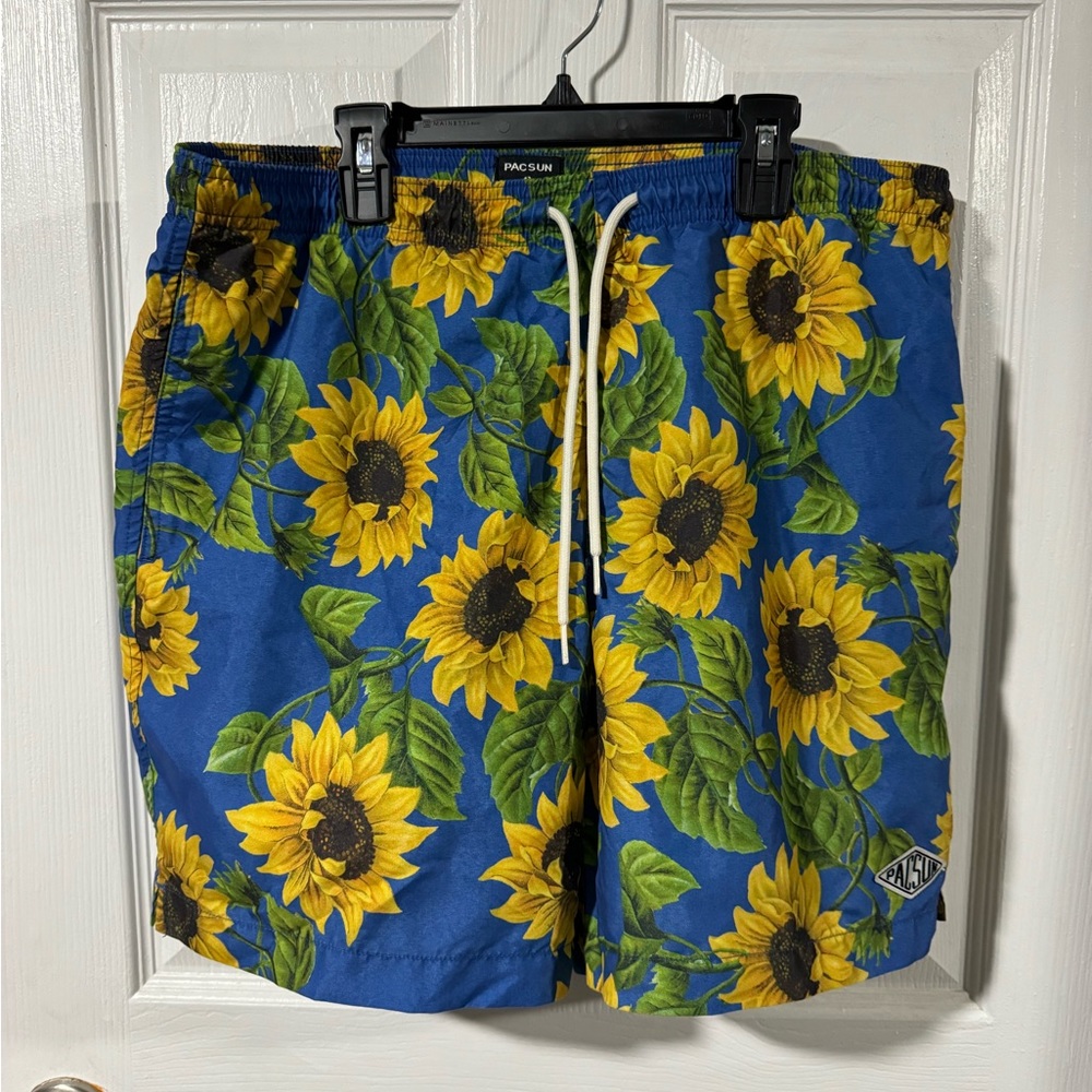 Men’s Size Large Pacsun Swim and Casual Shorts